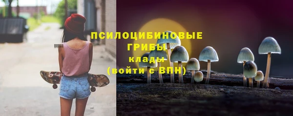 2c-b Алексин