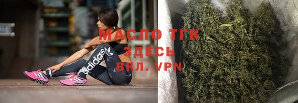 дмт Козельск
